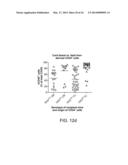 Genetically Modified Mice and Engraftment diagram and image