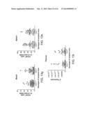 Genetically Modified Mice and Engraftment diagram and image