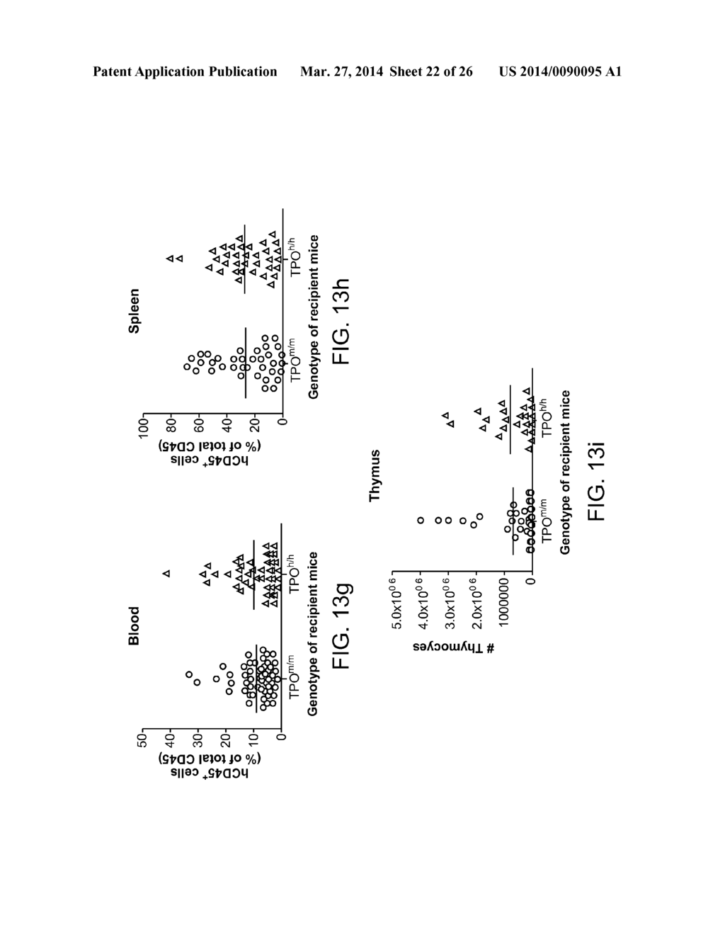 Genetically Modified Mice and Engraftment - diagram, schematic, and image 23