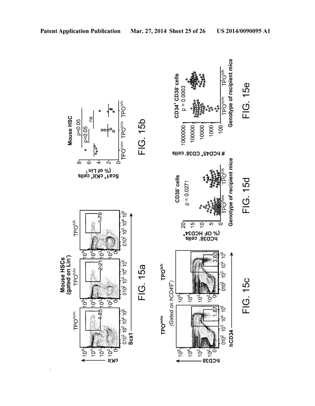 Genetically Modified Mice and Engraftment - diagram, schematic, and image 26