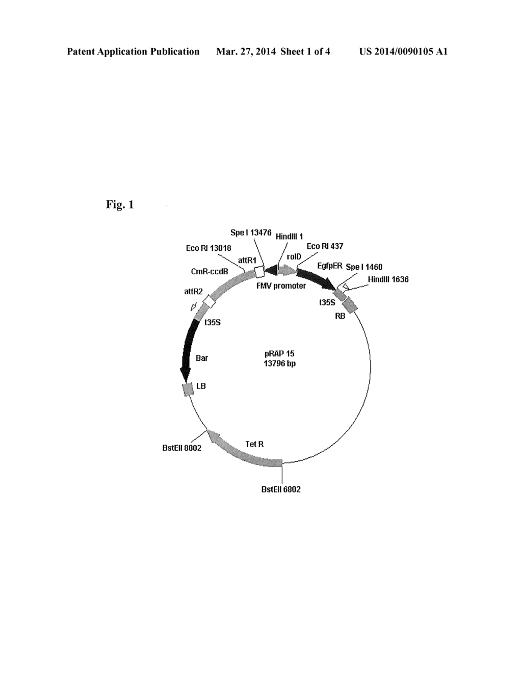 Methods for Increasing Resistance to Soybean Cyst Nematode in Soybean     Plants - diagram, schematic, and image 02