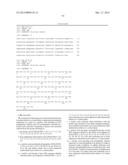 PLANTS HAVING ENHANCED YIELD-RELATED TRAITS AND METHOD FOR MAKING THE SAME diagram and image