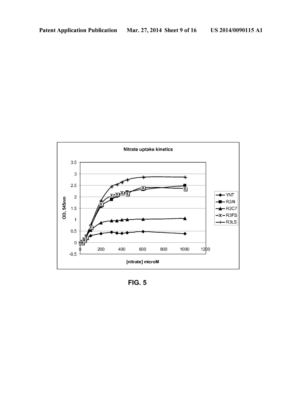 FUNCTIONAL EXPRESSION OF SHUFFLED YEAST NITRATE TRANSPORTER (YNT1) IN     MAIZE TO IMPROVE NITRATE UPTAKE UNDER LOW NITRATE ENVIRONMENT - diagram, schematic, and image 10