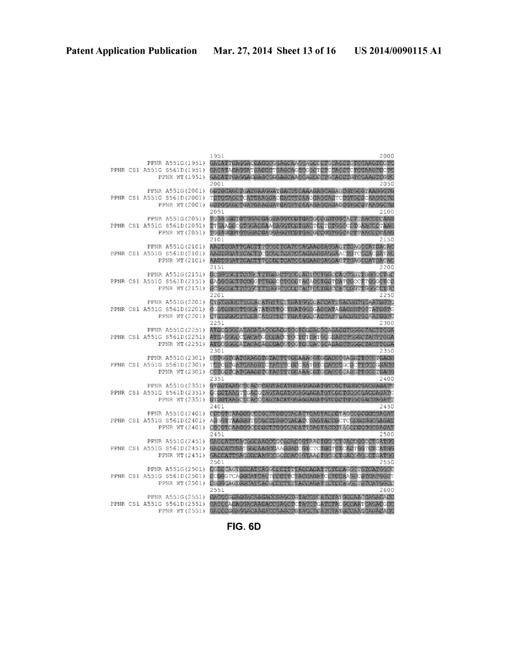 FUNCTIONAL EXPRESSION OF SHUFFLED YEAST NITRATE TRANSPORTER (YNT1) IN     MAIZE TO IMPROVE NITRATE UPTAKE UNDER LOW NITRATE ENVIRONMENT - diagram, schematic, and image 14