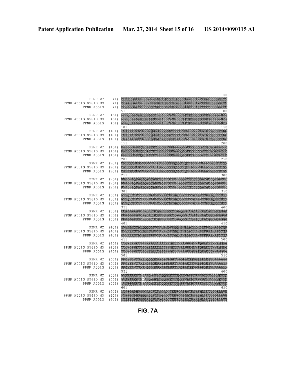 FUNCTIONAL EXPRESSION OF SHUFFLED YEAST NITRATE TRANSPORTER (YNT1) IN     MAIZE TO IMPROVE NITRATE UPTAKE UNDER LOW NITRATE ENVIRONMENT - diagram, schematic, and image 16