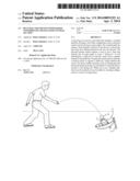 Bean Bag Toss Device with Raised Exterior Lip and Elevated Central Section diagram and image