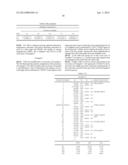 ZOOM LENS AND IMAGING APPARATUS diagram and image