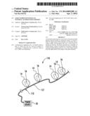 LIGHT SURROUND WITH PLANT MATERIAL ALTERED LIGHT EMISSION diagram and image