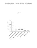 PHARMACEUTICAL COMBINATIONS COMPRISING DUAL ANGIOPOIETIN-2 / DLL4 BINDERS     AND ANTI-VEGF AGENTS diagram and image