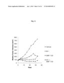 PHARMACEUTICAL COMBINATIONS COMPRISING DUAL ANGIOPOIETIN-2 / DLL4 BINDERS     AND ANTI-VEGF AGENTS diagram and image