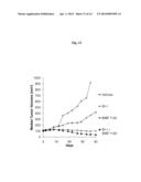 PHARMACEUTICAL COMBINATIONS COMPRISING DUAL ANGIOPOIETIN-2 / DLL4 BINDERS     AND ANTI-VEGF AGENTS diagram and image