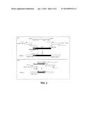 COMPOSITIONS AND METHODS OF ENHANCING IMMUNE RESPONSES diagram and image