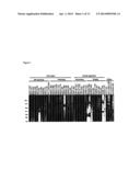 IMMUNOGENIC COMPOSITIONS AND EXPRESSION SYSTEMS diagram and image