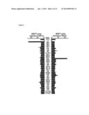 IMMUNOGENIC COMPOSITIONS AND EXPRESSION SYSTEMS diagram and image