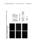 REGULATORS OF NFAT AND/OR STORE-OPERATED CALCIUM ENTRY diagram and image