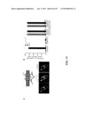 REGULATORS OF NFAT AND/OR STORE-OPERATED CALCIUM ENTRY diagram and image