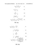 Nanoparticle - Biocide Treatment of Biofilms diagram and image