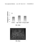 Nanoparticle - Biocide Treatment of Biofilms diagram and image