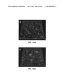 Nanoparticle - Biocide Treatment of Biofilms diagram and image