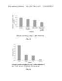 Nanoparticle - Biocide Treatment of Biofilms diagram and image