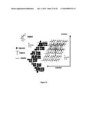 Highly Compactable and Durable Direct Compression Excipients and Excipient     Systems diagram and image