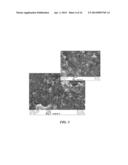 Carbon Nanotube-Based Electrode and Rechargeable Battery diagram and image