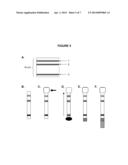 LATERAL FLOW ASSAYS FOR TAGGED ANALYTES diagram and image