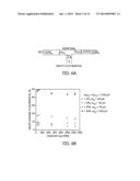 PARTICLE SEPARATION AND CONCENTRATION USING SPIRAL INERTIAL FILTRATION diagram and image