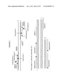 Cross priming amplification of target nucleic acids diagram and image