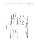 Cross priming amplification of target nucleic acids diagram and image