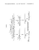 Cross priming amplification of target nucleic acids diagram and image