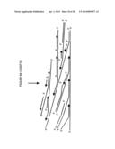 Cross priming amplification of target nucleic acids diagram and image