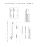 Cross priming amplification of target nucleic acids diagram and image