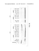 MUTANT ENDONUCLEASE V ENZYMES AND APPLICATIONS THEREOF diagram and image