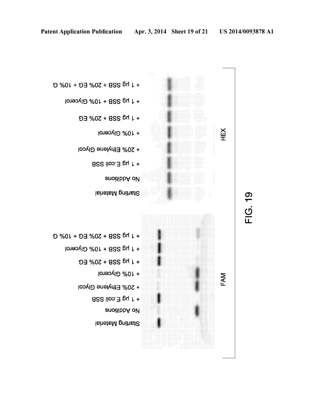 MUTANT ENDONUCLEASE V ENZYMES AND APPLICATIONS THEREOF - diagram, schematic, and image 20