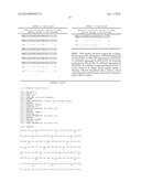 MARKER COMPRISING ANTI-CK8/18 COMPLEX AUTOANTIBODY AND ITS USE FOR     DIAGNOSING CANCER diagram and image