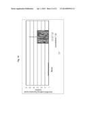 EXPRESSION VECTOR FOR ANIMAL CELLS INCLUDING CSP-B 5 -SAR FACTOR AND     METHOD FOR PRODUCING RECOMBINANT PROTEINS USING SAME diagram and image