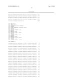 EXPRESSION VECTOR FOR ANIMAL CELLS INCLUDING CSP-B 5 -SAR FACTOR AND     METHOD FOR PRODUCING RECOMBINANT PROTEINS USING SAME diagram and image