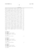 EXPRESSION VECTOR FOR ANIMAL CELLS INCLUDING CSP-B 5 -SAR FACTOR AND     METHOD FOR PRODUCING RECOMBINANT PROTEINS USING SAME diagram and image