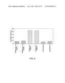 SYSTEM FOR OPTIMIZING THE INTRODUCTION OF NUCLEIC ACIDS INTO CELLS USING     MAGNETIC PARTICLES diagram and image