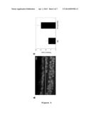 HYDROGEL COMPOSITION AND USES THEREOF diagram and image