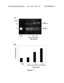 HYDROGEL COMPOSITION AND USES THEREOF diagram and image