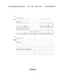 STROMAL ANTIGEN 2 (STAG2) COMPOSITIONS AND METHODS diagram and image