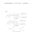 HIGH-AFFINITY, DIMERIC INHIBITORS OF PSD-95 AS EFFICIENT NEUROPROTECTANTS     AGAINST ISCHEMIC BRAIN DAMAGE AND FOR TREATMENT OF PAIN diagram and image