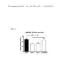 HIGH-AFFINITY, DIMERIC INHIBITORS OF PSD-95 AS EFFICIENT NEUROPROTECTANTS     AGAINST ISCHEMIC BRAIN DAMAGE AND FOR TREATMENT OF PAIN diagram and image