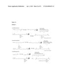 HIGH-AFFINITY, DIMERIC INHIBITORS OF PSD-95 AS EFFICIENT NEUROPROTECTANTS     AGAINST ISCHEMIC BRAIN DAMAGE AND FOR TREATMENT OF PAIN diagram and image