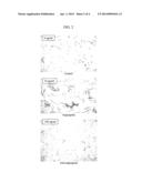 SPARC ANGIOGENIC DOMAIN AND METHODS OF USE diagram and image