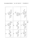 INHIBITORS OF INFLUENZA VIRUSES REPLICATION diagram and image