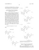 INHIBITORS OF INFLUENZA VIRUSES REPLICATION diagram and image