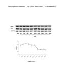 METHOD FOR REGULATING RETINAL ENDOTHELIAL CELL VIABILITY diagram and image